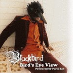 Image Blackbird