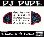 Image DJ Dude